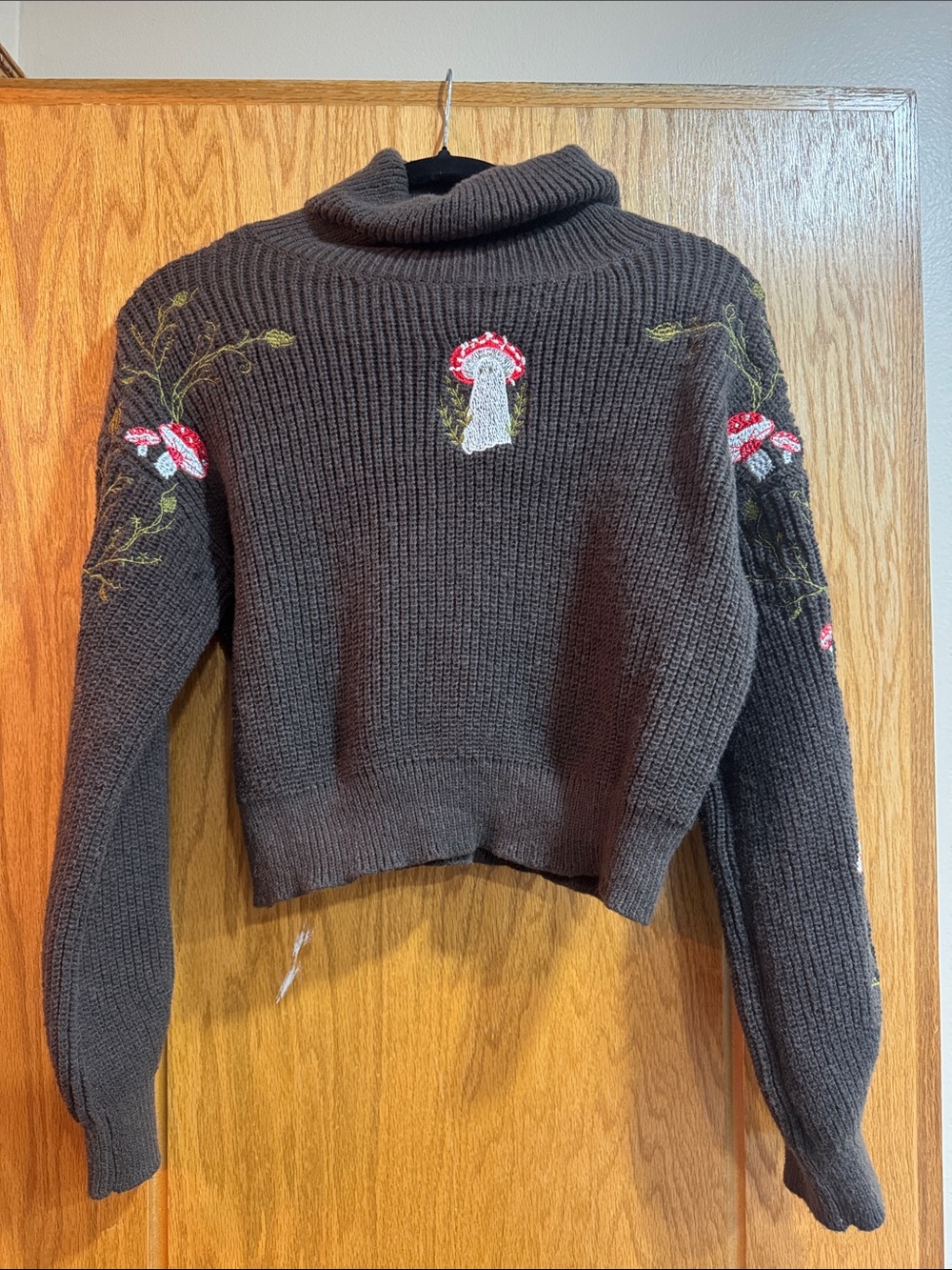 Brown Mushroom Turtleneck Sweater